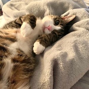 Meet your Posher, Karen